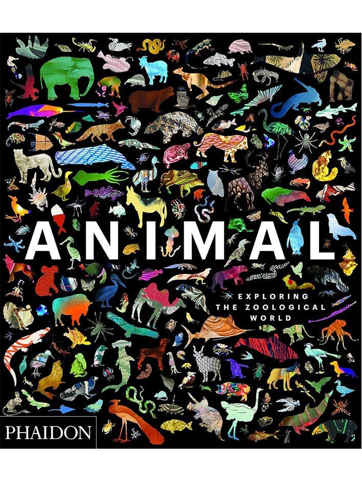 ANIMALE: ESPLORANDO IL MONDO ZOOLOGICO