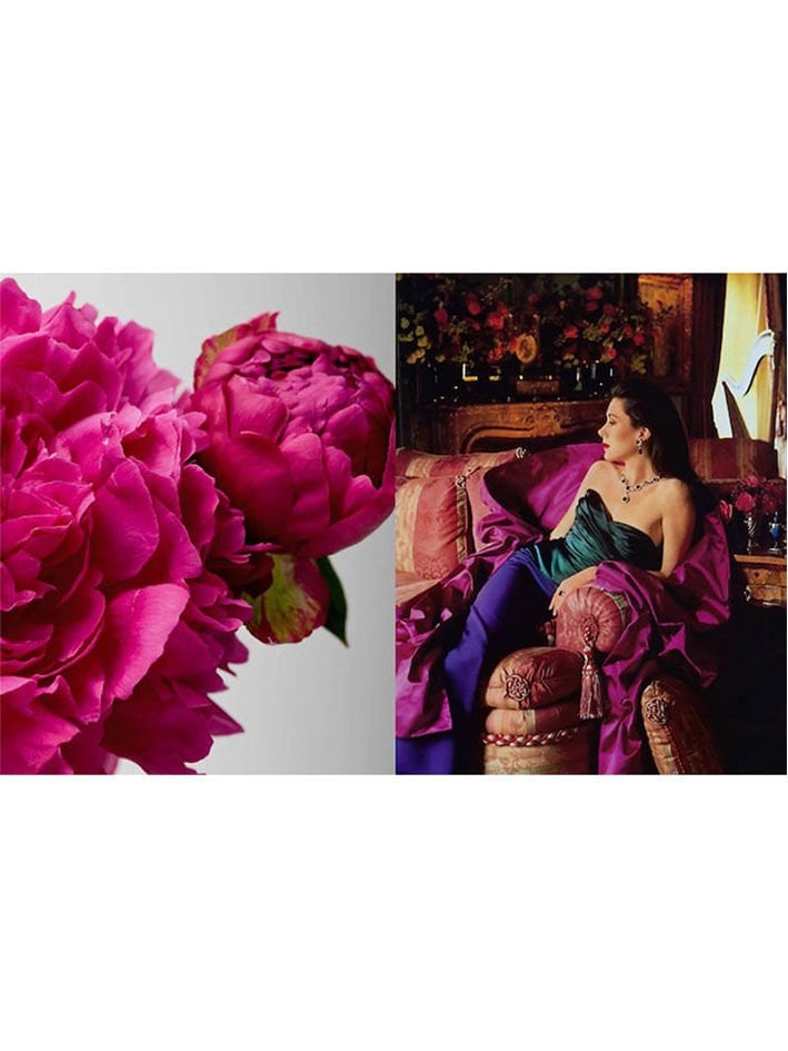 CAROLYNE ROEHM: DESIGN E STILE