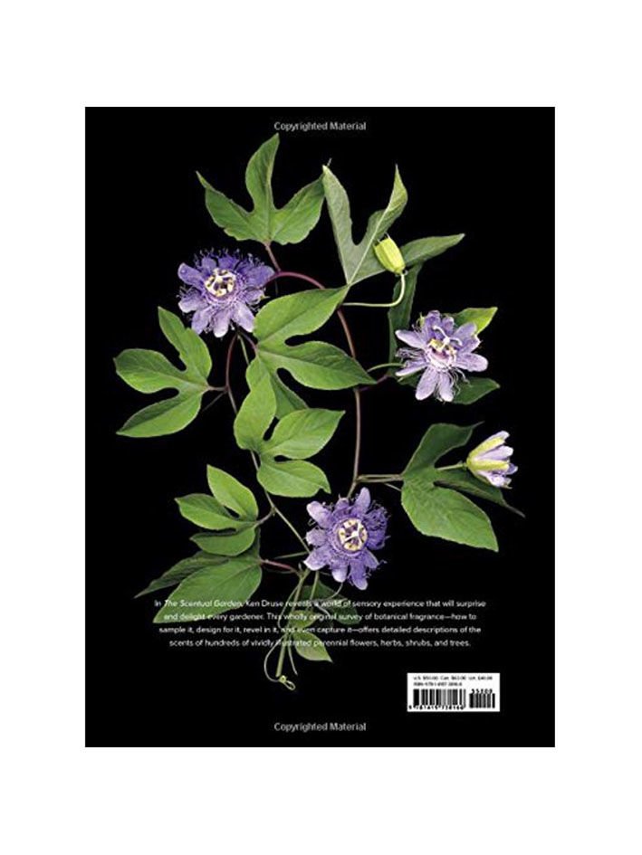 IL GIARDINO PROFUMATO