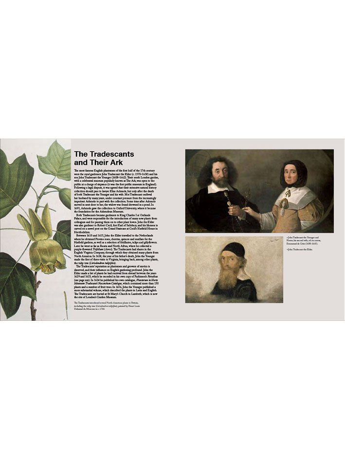 LA STORIA DEL GIARDINAGGIO