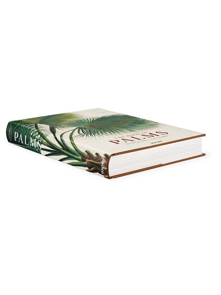 IL LIBRO DELLE PALME