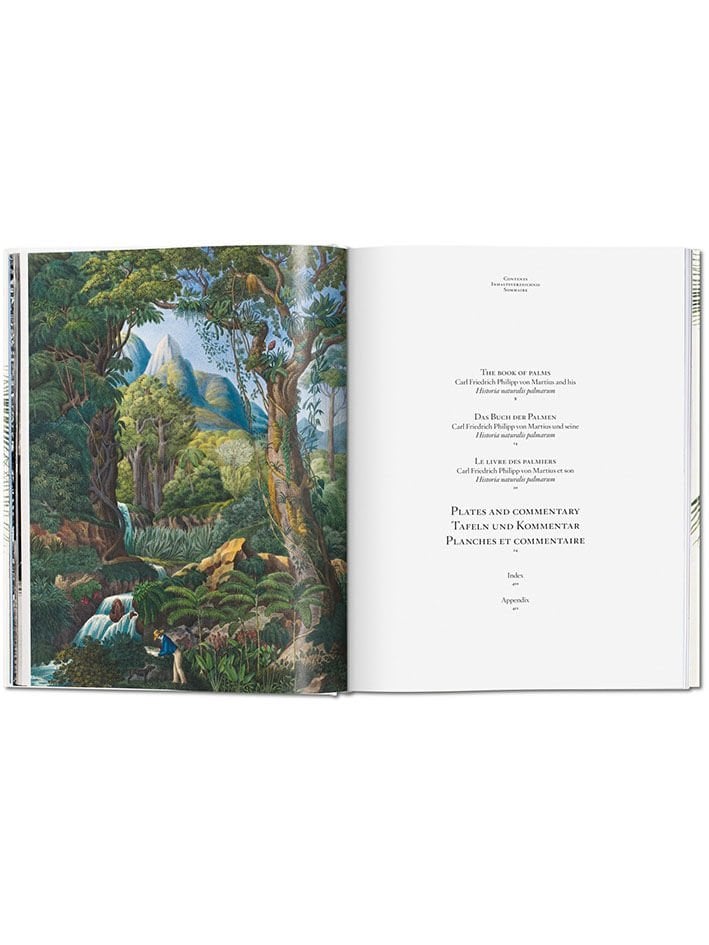 IL LIBRO DELLE PALME