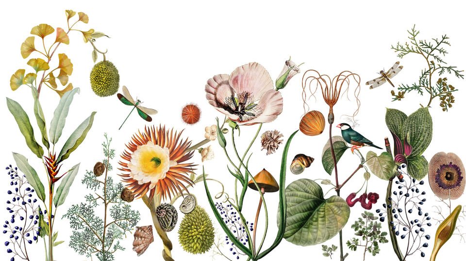 Botanic FL16-2 Orticultura