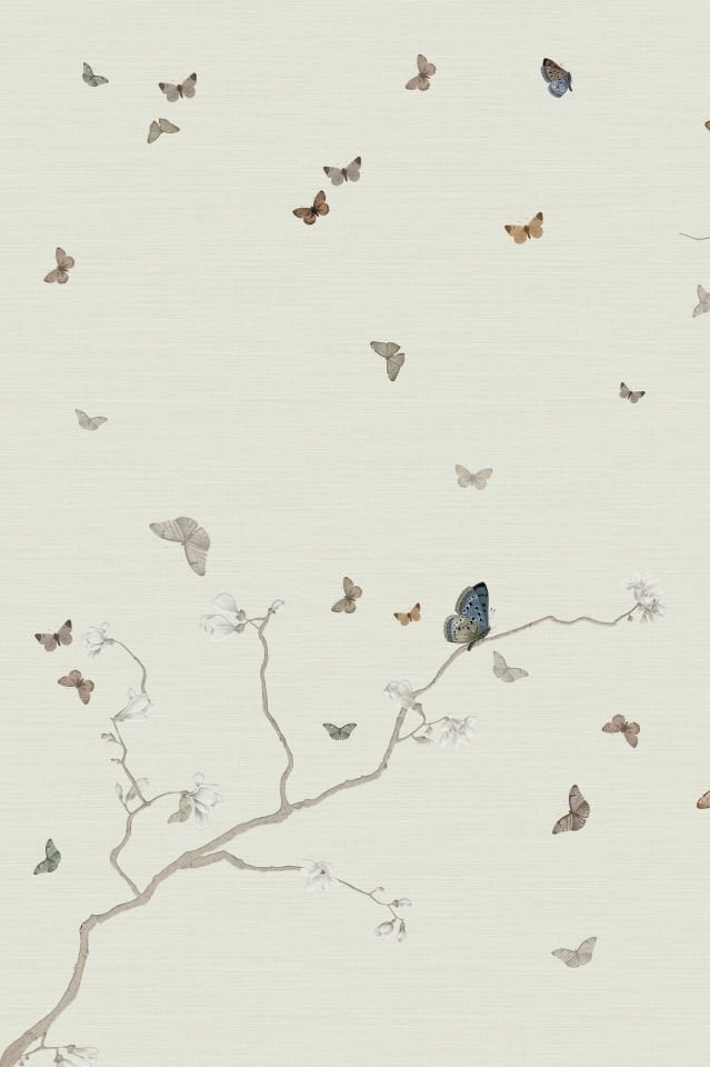 Farfalle CH53-3 Sepia