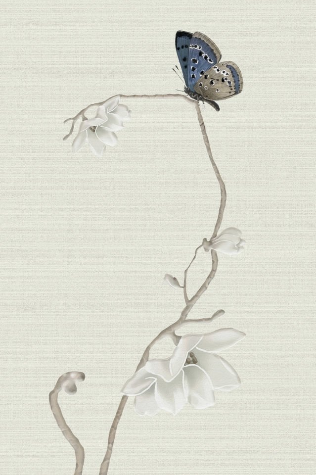 Farfalle Ch53-3 Sepia