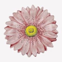 Pembe Seramik Servis Tabağı 42 Cm Camomilla