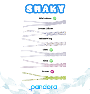 PANDORA SHAKY WORM (10'lu Paket)