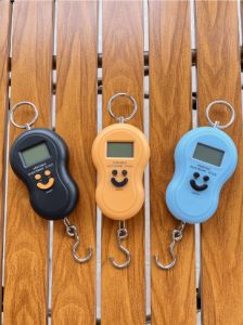 SHUFA El Terazisi Elektronik Dijital El Kantarı 50 Kg Terazi Tartı 10 Gr Hassas Terazi Tartısı LCD Ekran
