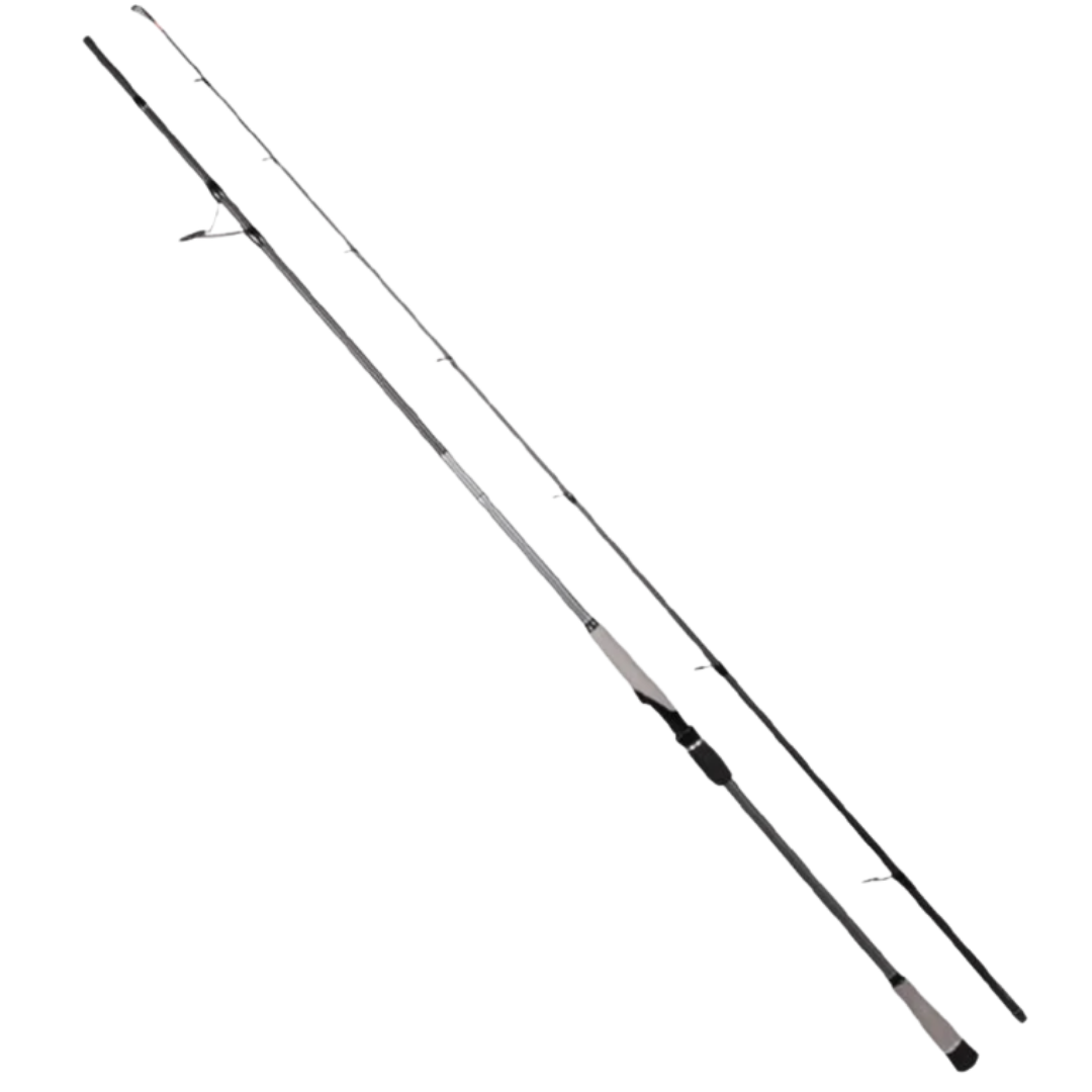 Ryuji Matrix 280 Cm 25-80 Gr Shore Jig Kamışı