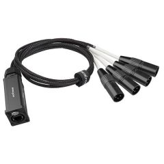 PS4M XLR Sinyal Uzatıcı - Erkek - Roxtone