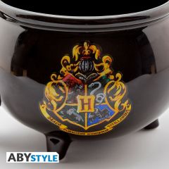 Harry Potter Cauldron Kazan 3D Kupa - MG2010