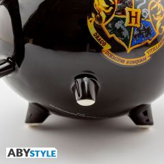 Harry Potter Cauldron Kazan 3D Kupa - MG2010