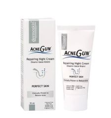 Dermoskin Acnegun Gece Kremi 30 ml