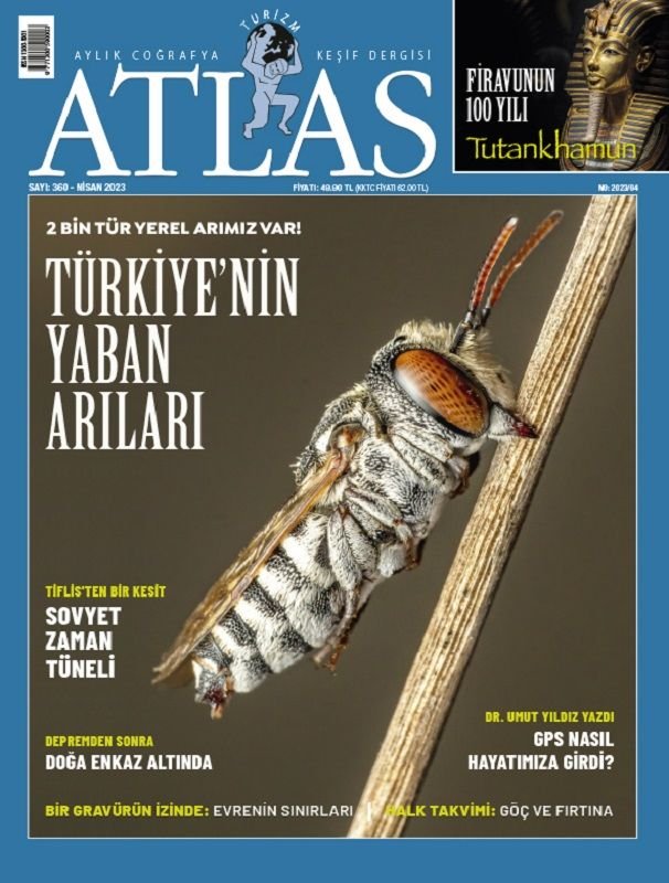 Atlas Nisan 2023