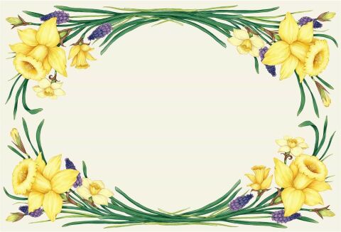 Daffodil Placemat - 24 Sheets