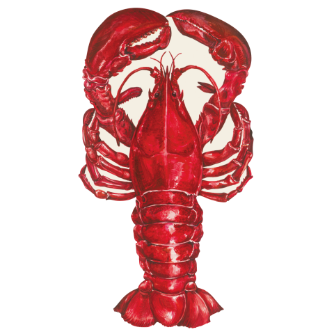 Die Cut Lobster Placemat - 12 sheets