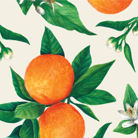 Orange Orchard Cocktail Napkin - pack of 20