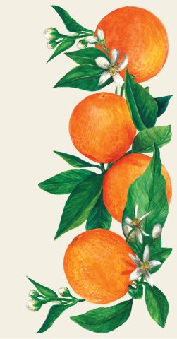 Orange Orchard Guest Napkin - pack of 16