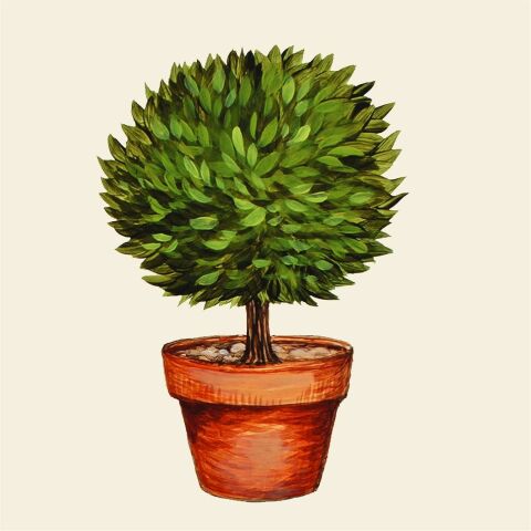 Topiary Napkins
