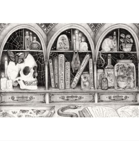 Cabinet of Curiosities Placemat - Pad of 24 Sheets