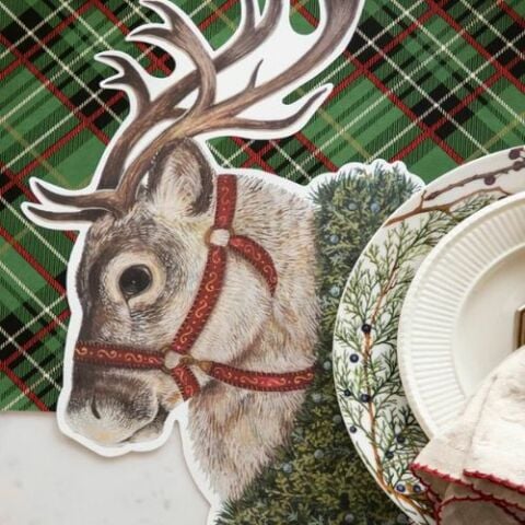 Die-cut Reindeer Placemat - 12 Sheets
