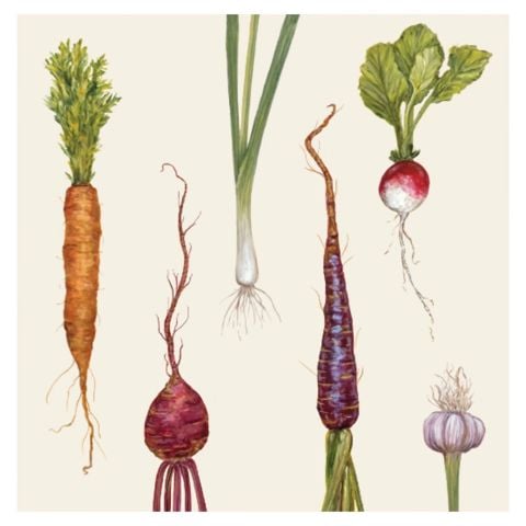 Farmers' Market Cocktail Napkin - Pack of 20