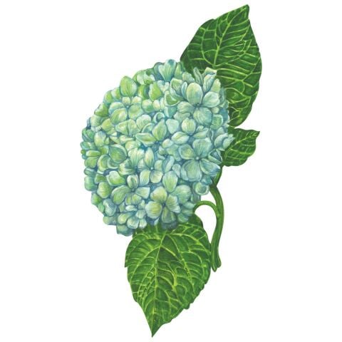 HYDRANGEA TABLE ACCENT