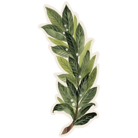 Laurel Table Accent - Pack Of 12