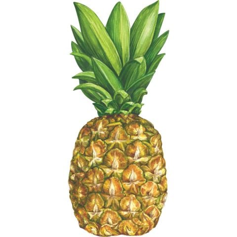 Pineapple Table Accent - Pack Of 12