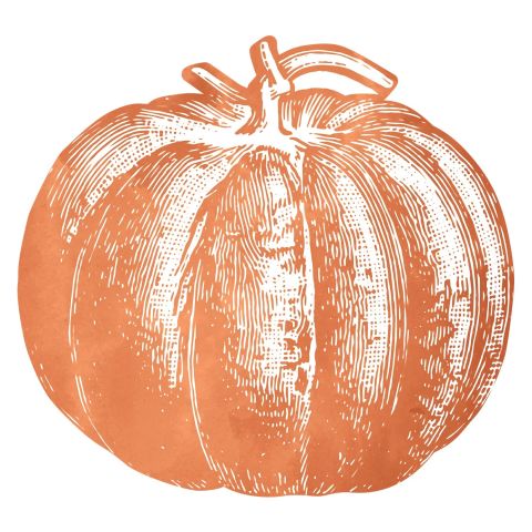 Die-cut Pumpkin Placemat 12 sheets