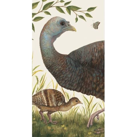 Heritage Hen Cocktail Pack Of 16