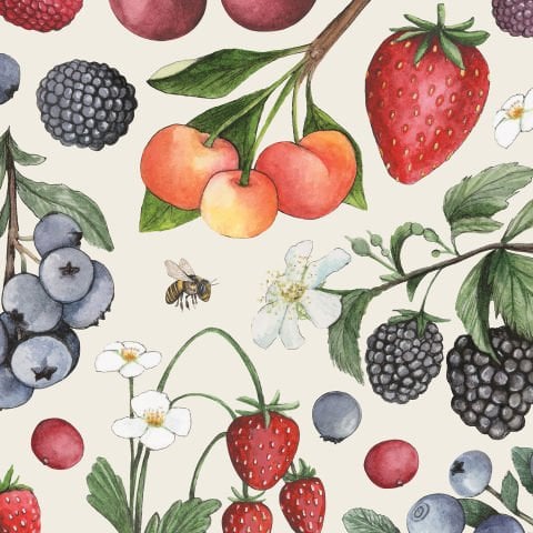 Wild Berry Cocktail Napkin pack of 20