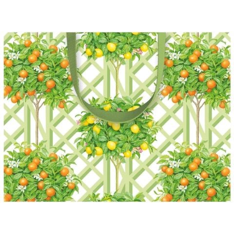 Citrus Topiaries Small Gift Bag in White  1 Each