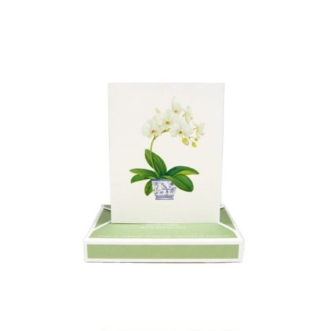 Potted Orchids Boxed Note Cards  10 Cards and 10 Envelopes per Package