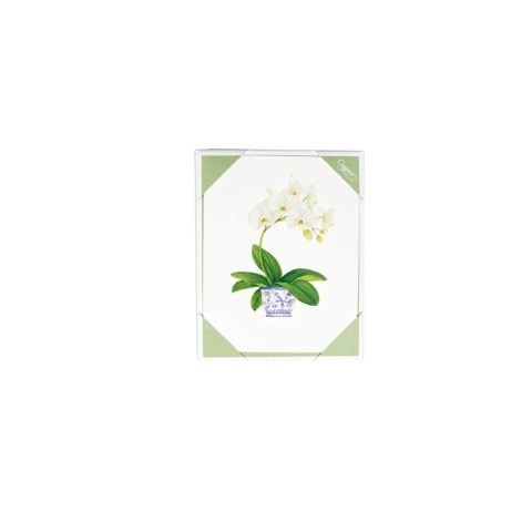 Potted Orchids Boxed Note Cards  10 Cards and 10 Envelopes per Package