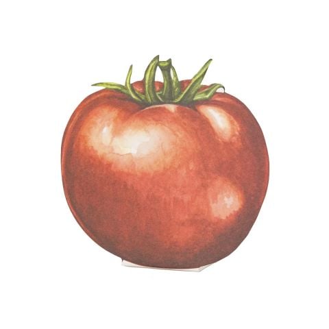 Tomato Place Card Pack Of 12