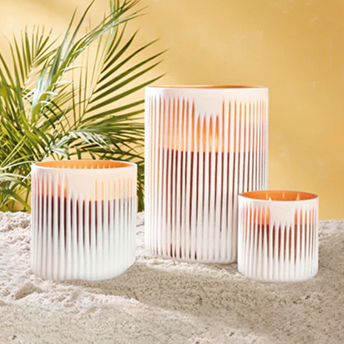 Onno Collection