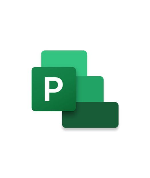 Microsoft Project Pro 2024 - ESD