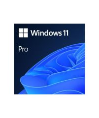 Windows 11 Pro OEM 64Bit İngilizce