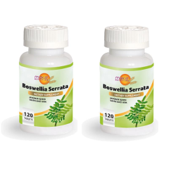 Akgünlük Boswellia 740 mg 120 Tablet 2 ADET