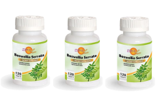 Akgünlük Boswellia 740 mg 120 Tablet 3 ADET