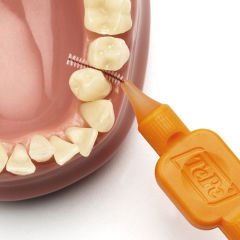 Arayüz Fırçası 8 Li Turuncu 0,45 Mm