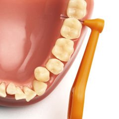 Angle Saplı Arayüz Fırçası 6 Lı Turuncu 0,45 Mm | 2 Adet