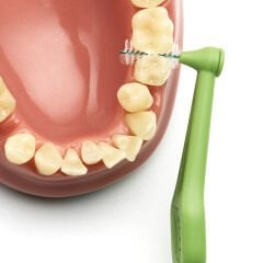 Angle Saplı Arayüz Fırçası 6 Lı Yeşil 0,8 Mm