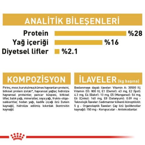 Royal Canin Adult Chihuahua Yetişkin Köpek Maması  1,5 Kg