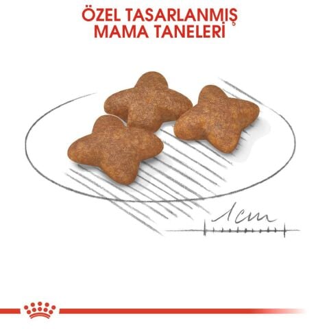 Royal Canin Mini Adult Küçük Irk Yetişkin Köpek  Maması 2 Kg