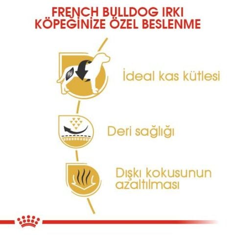 Royal Canin Adult French Bulldog Yetişkin Köpek  Maması 3 Kg