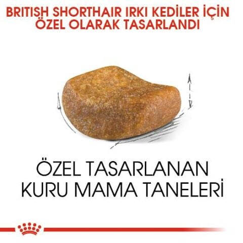 Royal Canin  British Bundle Kedi Maması 2 Kg + 2 Adet Yaş Mama