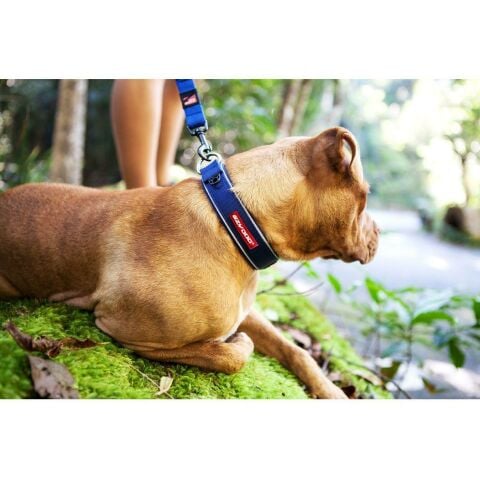 EzyDog Neo Classic Collar Large Kamuflaj Köpek Boyun Tasması