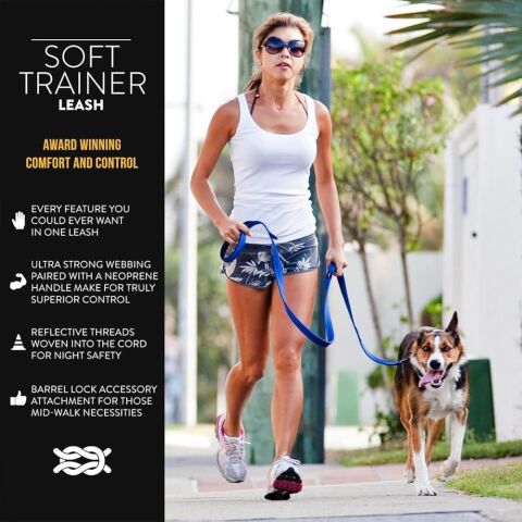 EzyDog Soft Trainer Large Mavi Köpek Gezdirme  Kayışı 25 mm 180 Cm